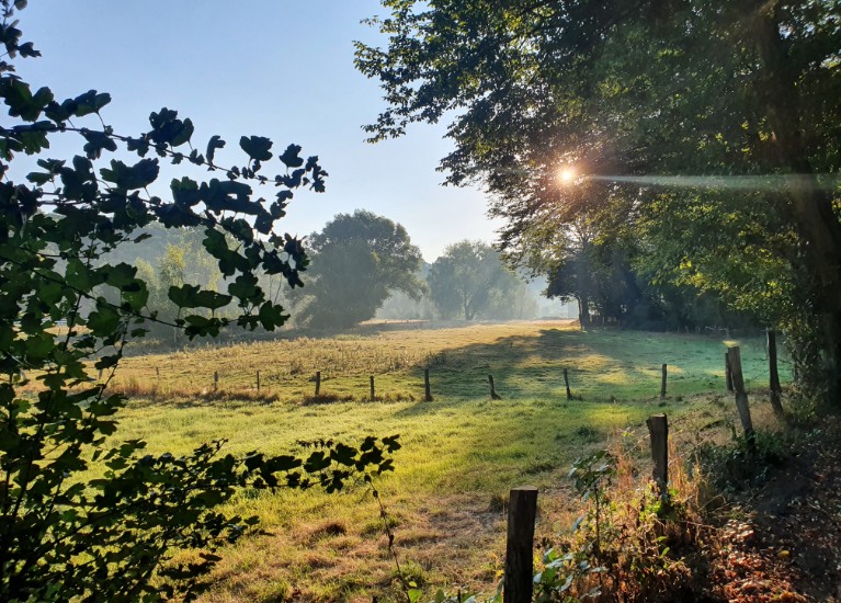 Eindrücke aus der Praxis Marie-Ann von Detten
